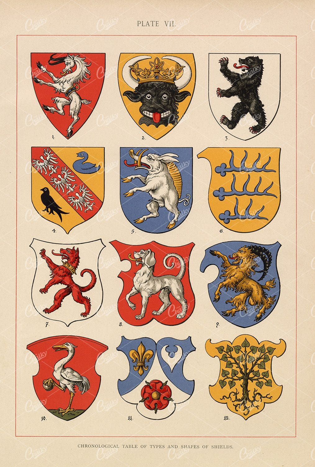 Chronological Table of Types and Shapes of Shields - Vintage Print