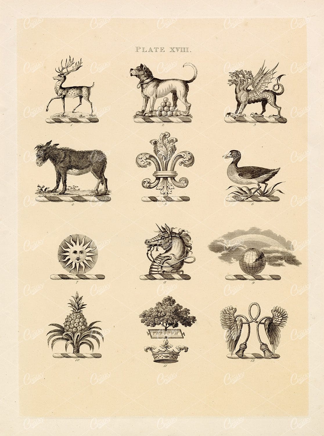 Heraldry Specimen Antique Print - Stag, Dog, Donkey, Sun, 1910