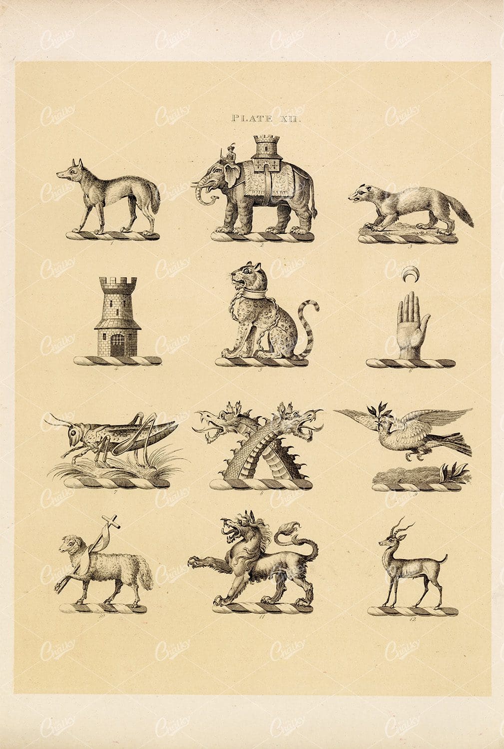 Knight & Rumley Heraldry Illustrations - Elephant, Leopard, Dragon