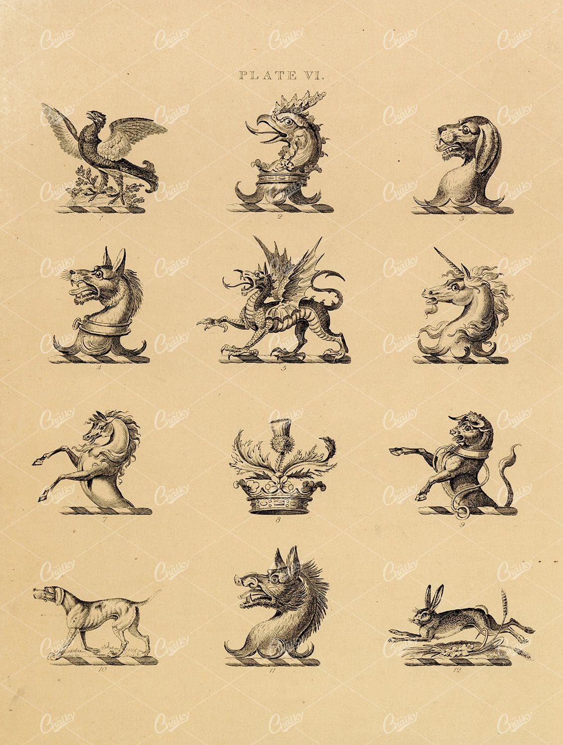 Heraldry Specimen Vintage Print - Hare, Bull, Dragon, Dog 1910 Print