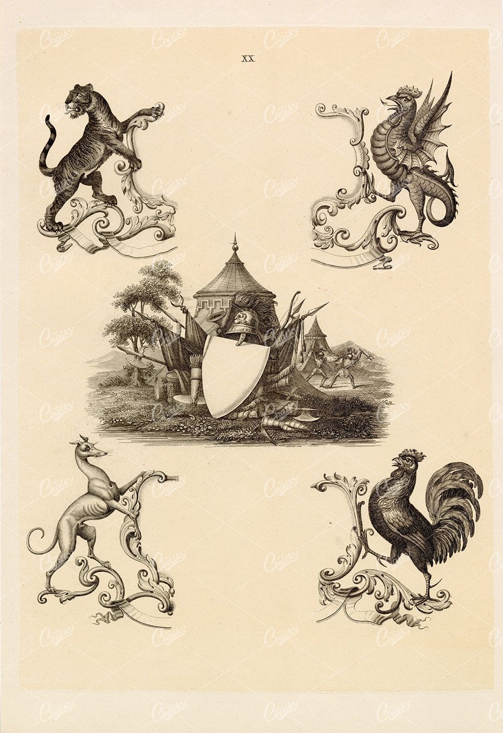 Vintage Heraldry Specimen Print 1910 -  lion, Cockrell, Greyhound