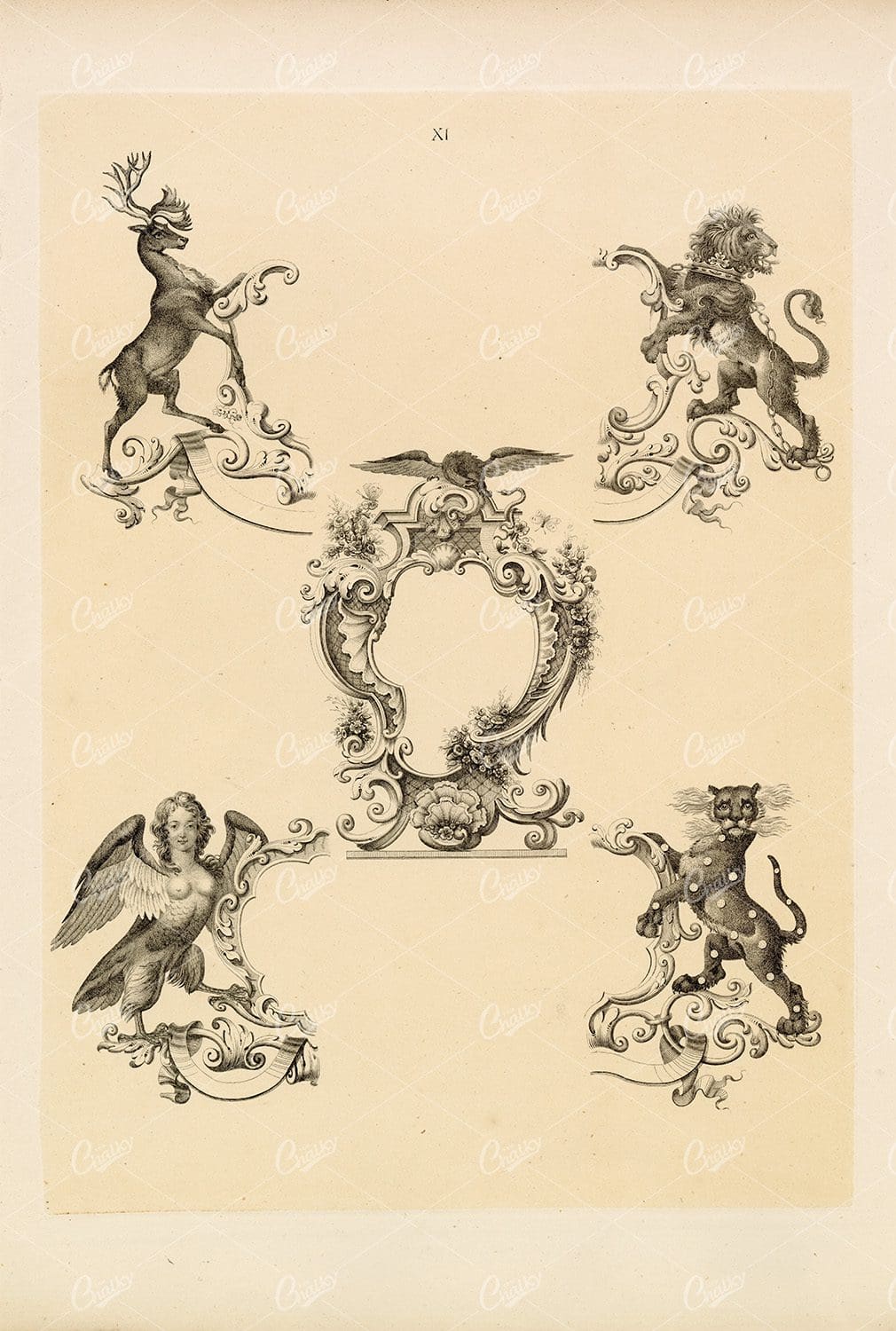 Heraldry Specimen Illustrations - 1910 Vintage Print