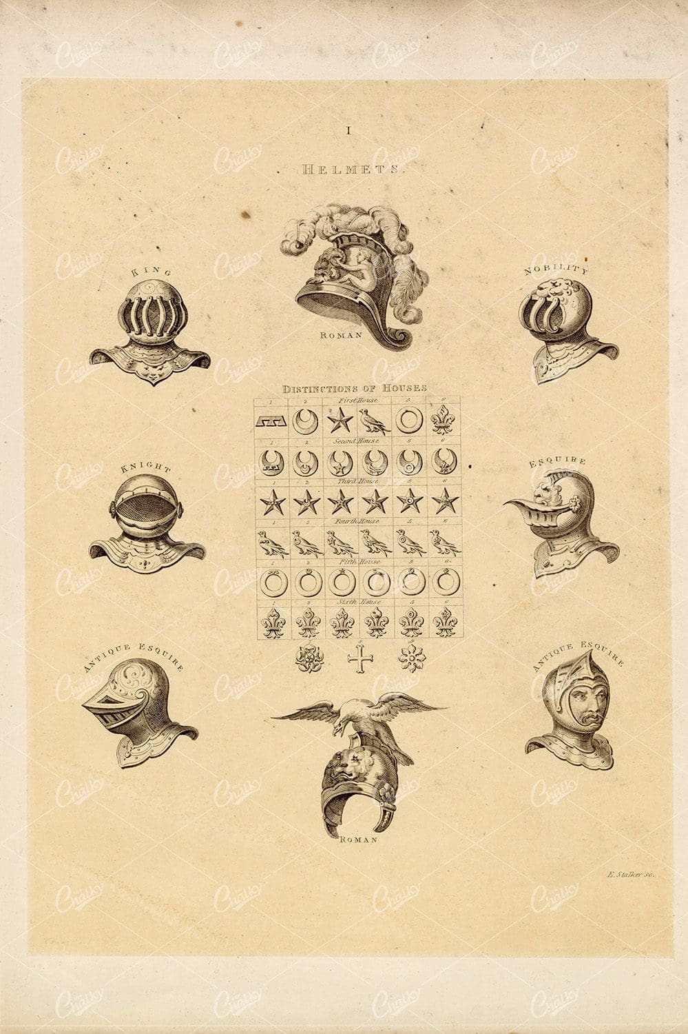 Distinctions of Houses - Vintage Heraldry Print 1910