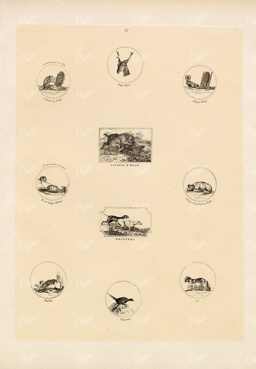 Vintage Designs - Pointers, Pheasant, Cat, Rabbit 1910