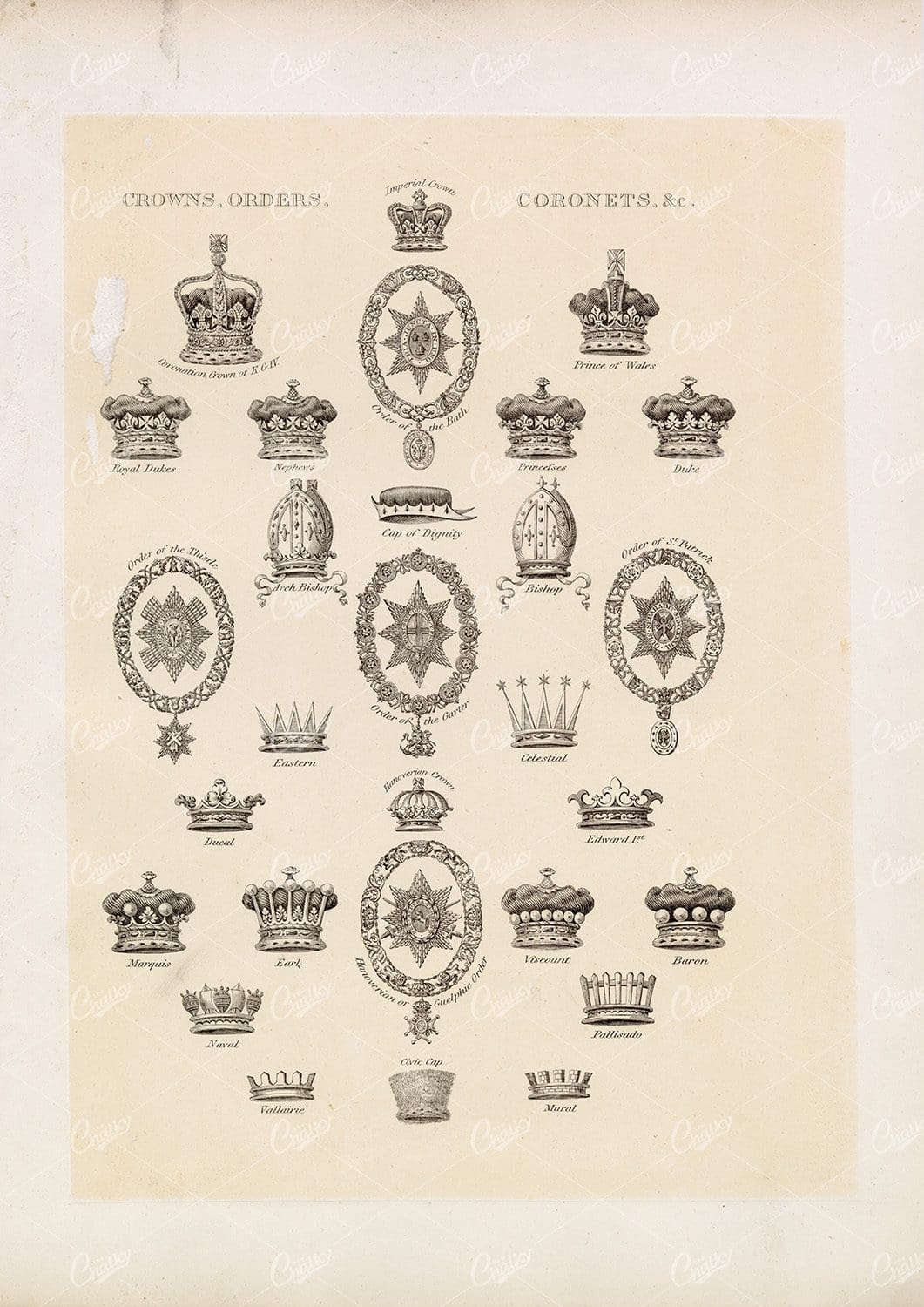 Vintage Heraldry Print - Crowns, Orders, Coronets 1910