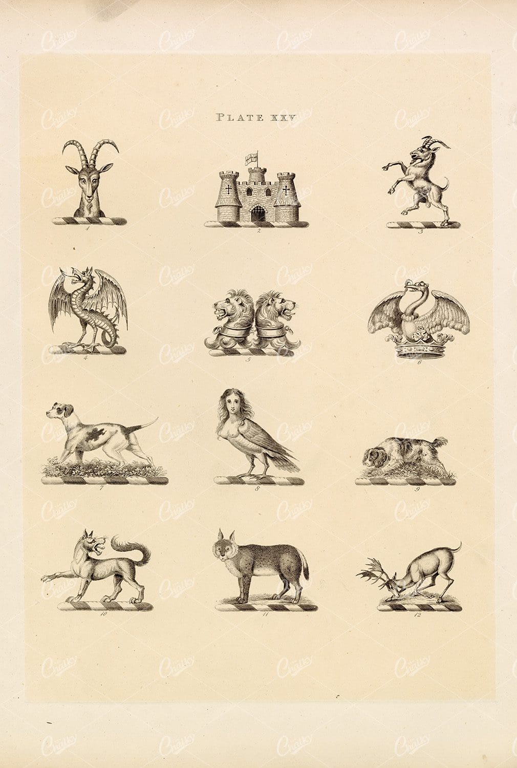 Heraldry Designs Plate XXV - Vintage Print 1910