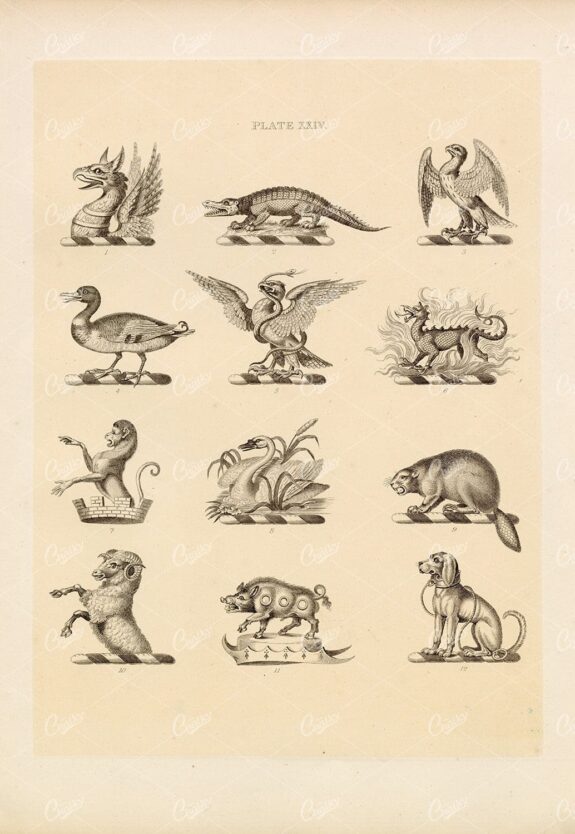 Examples of Decorative Designs - Knight & Rumley 1910