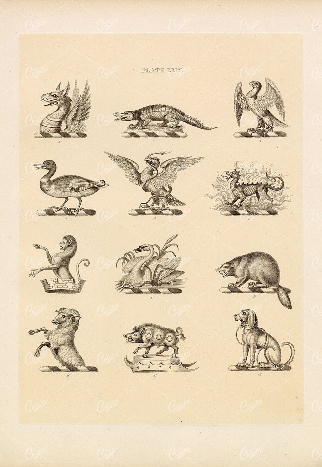 Examples of Decorative Designs - Knight & Rumley 1910