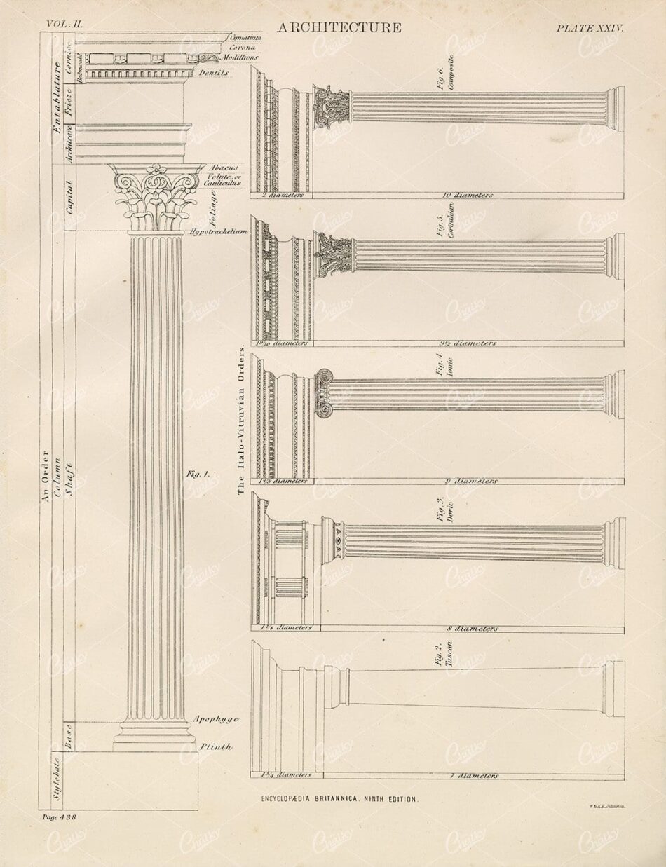 Classical Column Orders Diagram – Corinthian Ionic Doric Tuscan Comparison