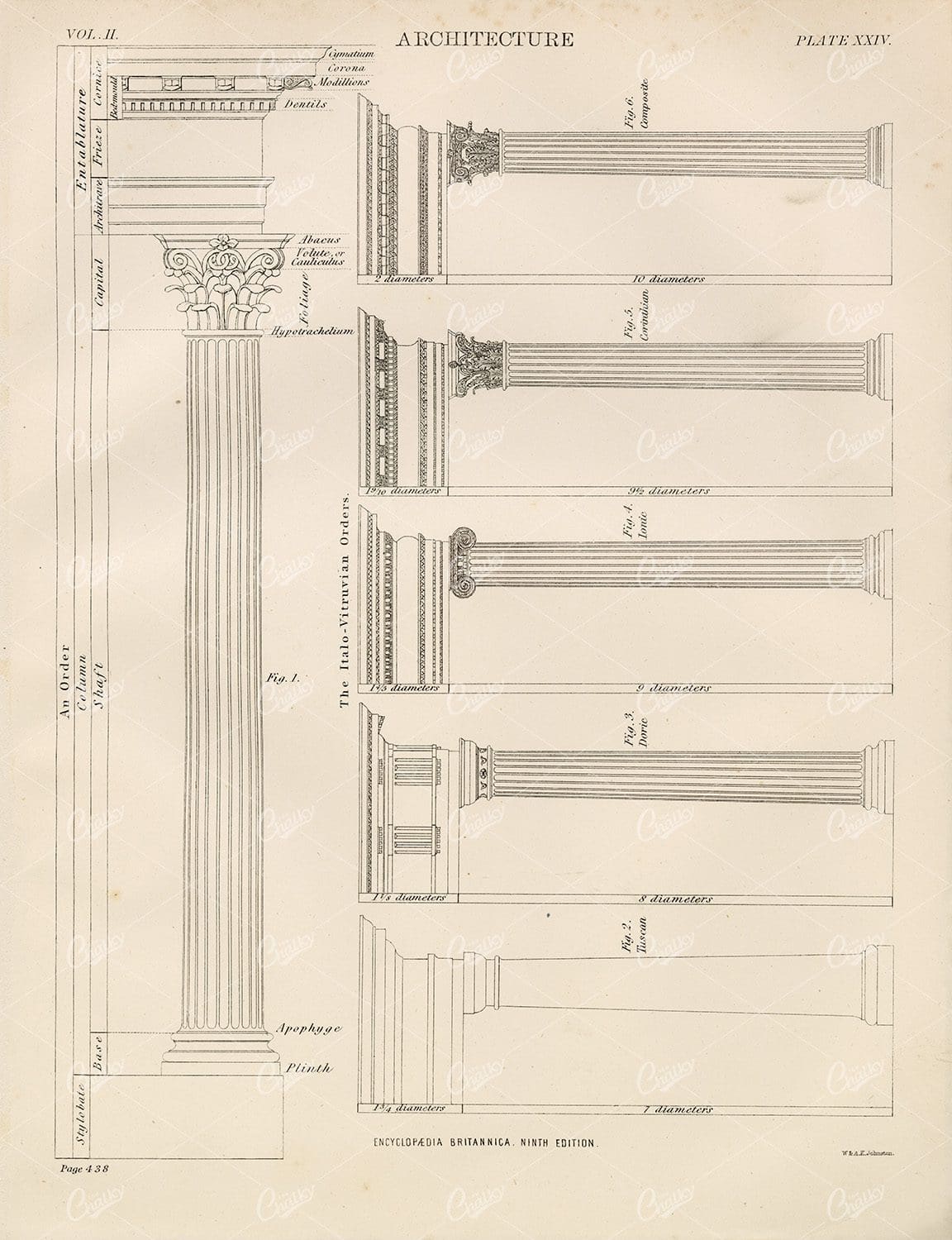 Various Architectural Columns - 1880 Antique Encyclopedia Print
