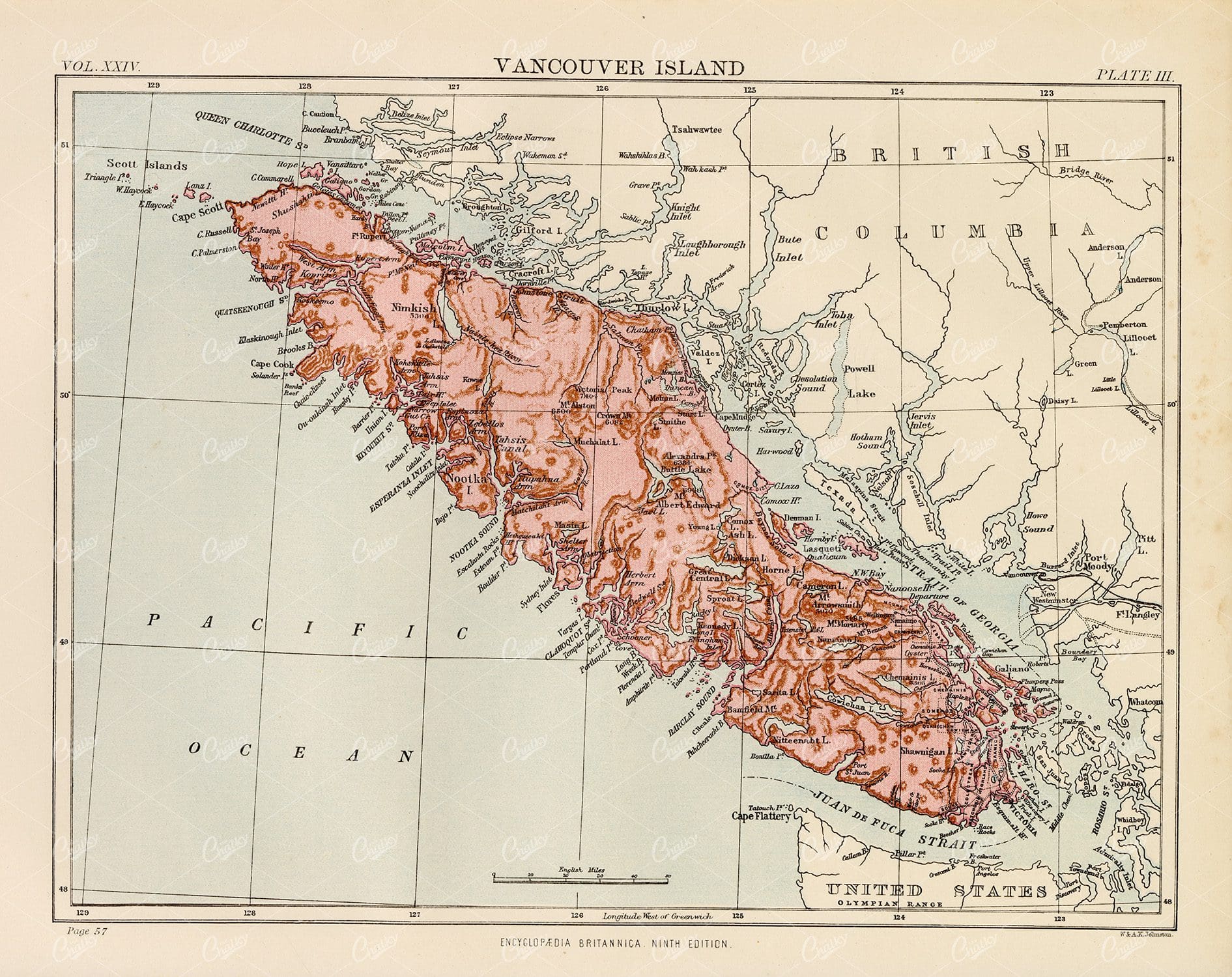Antique Map of Vancouver Island - Encyclopedia Britannica 1880