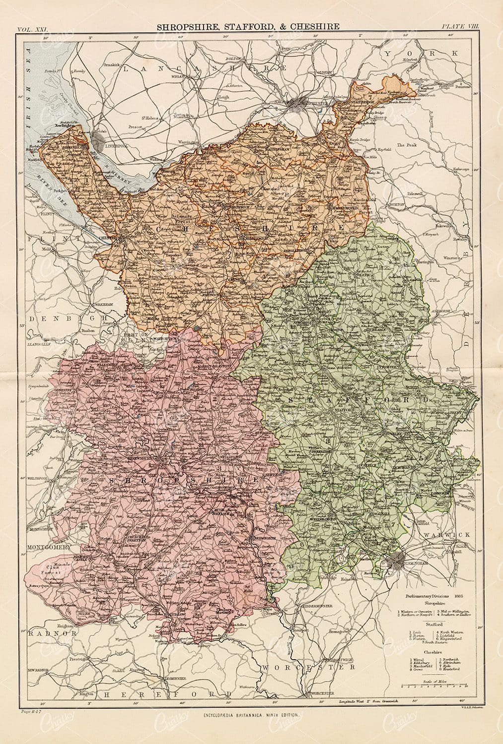 Vintage Map of Shropshire, Stafford & Cheshire - 1880
