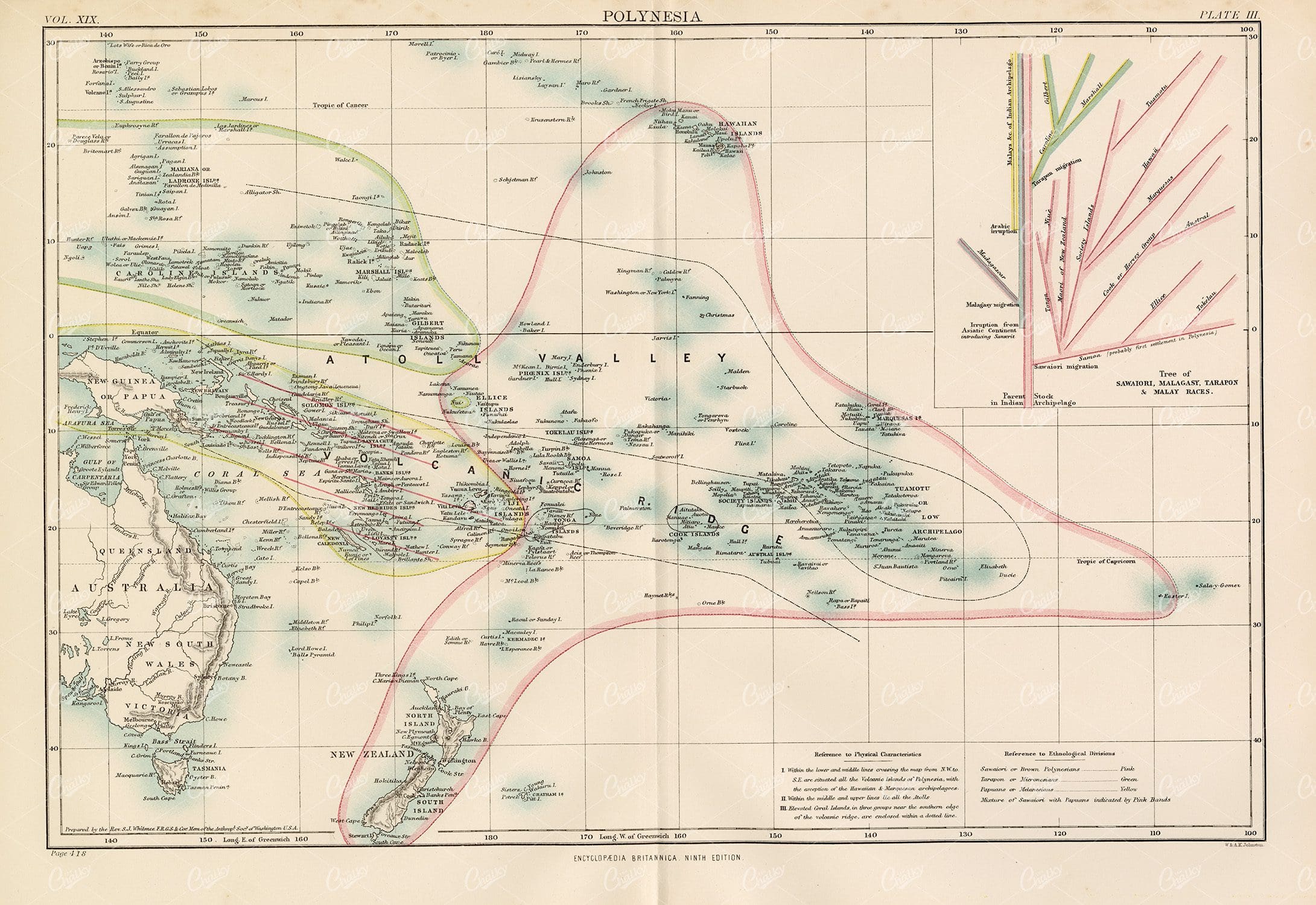 Vintage Map of Polynesia - 1880 Encyclopedia Britannica