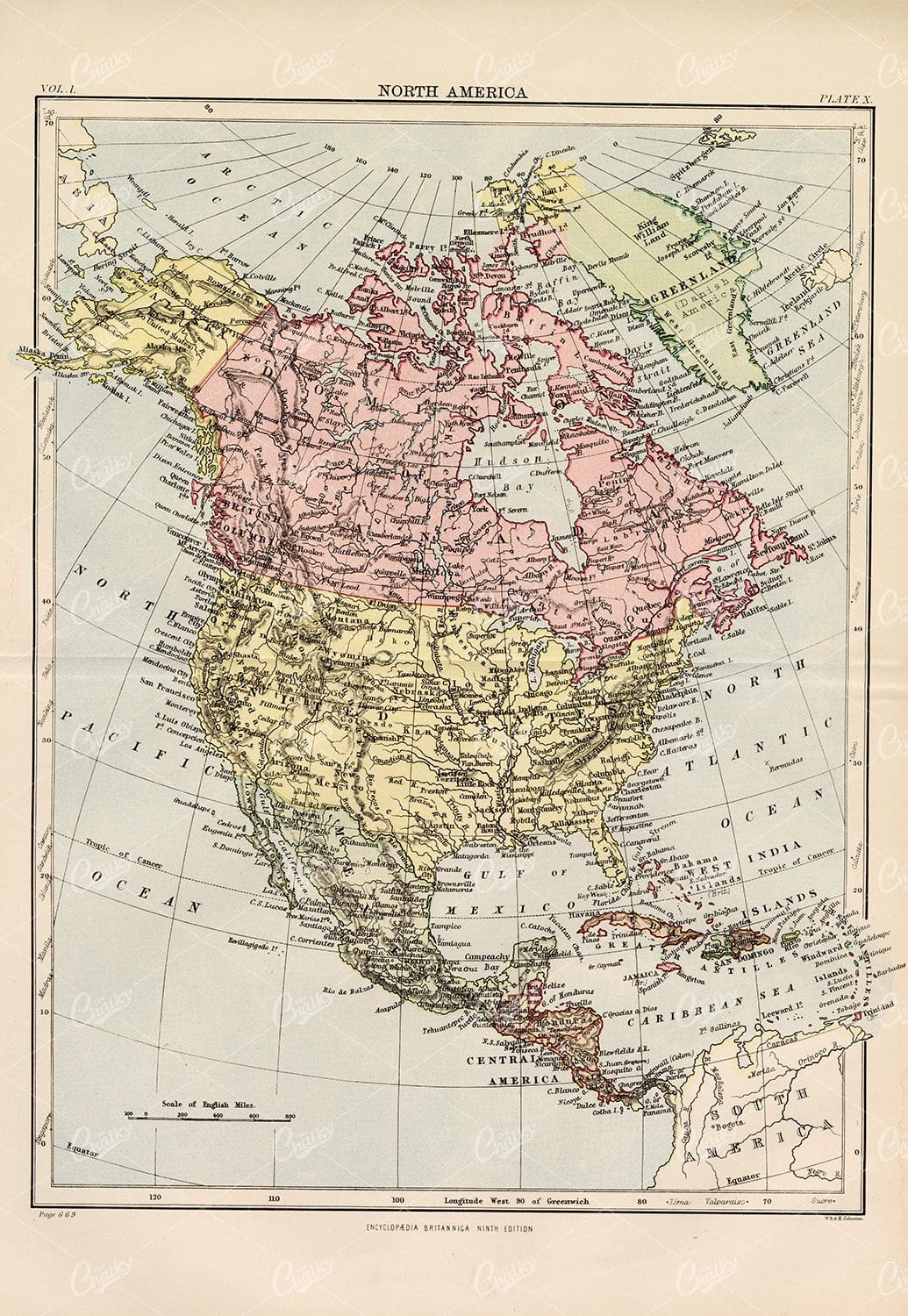 Antique Map of North America - 1880 Vintage Print