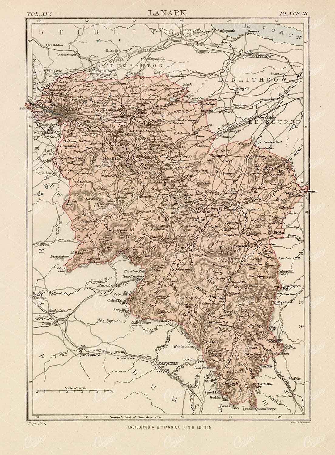 Vintage Map of Lanark - Encyclopedia Britannica 1880