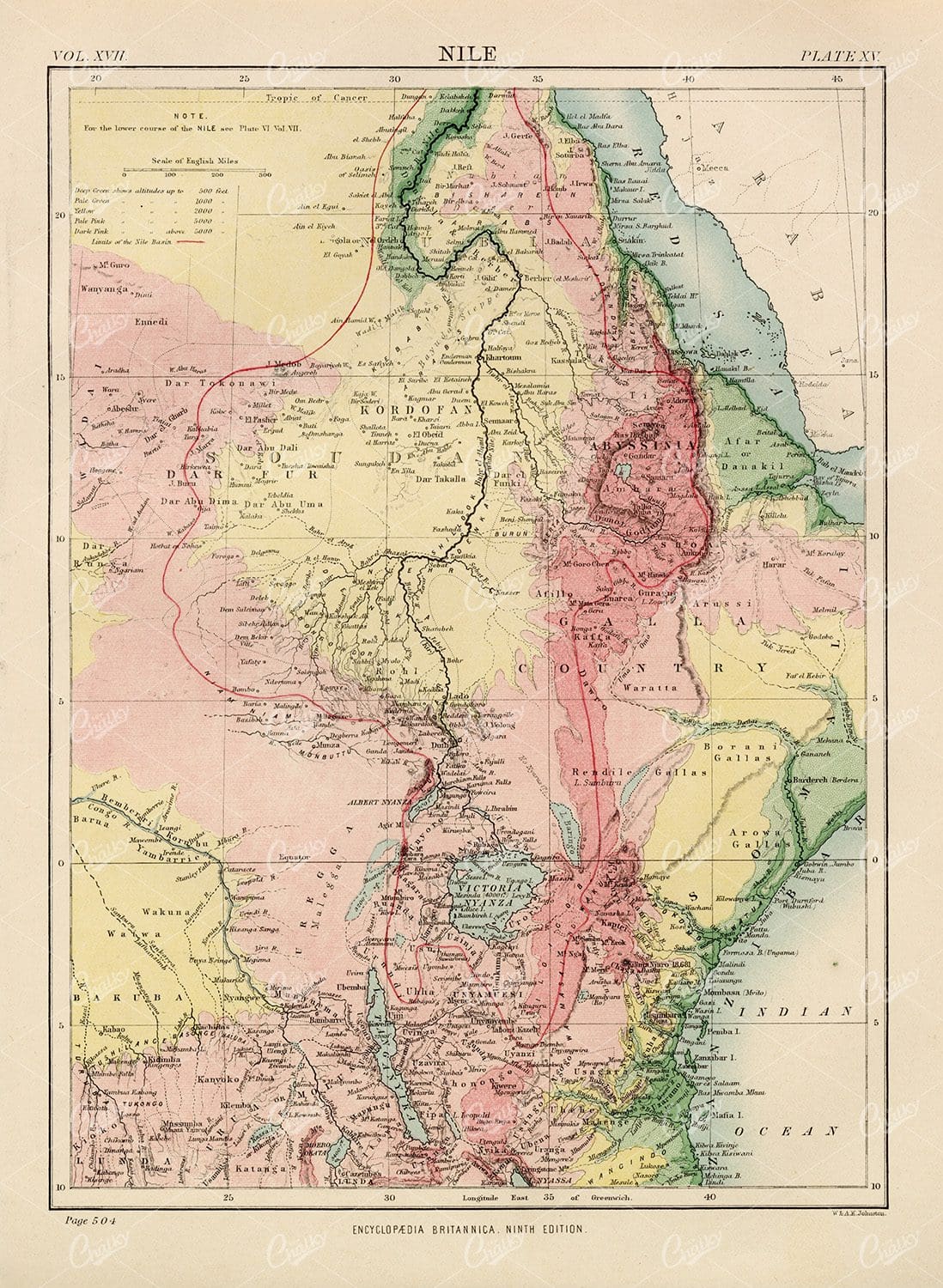 Encyclopedia Britannica - Vintage Map of the Nile 1880
