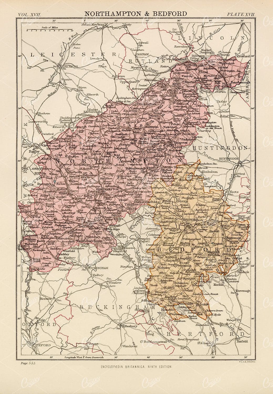 Northampton & Bedford Antique Map - 1880 Vintage