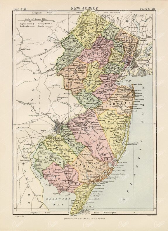 Encyclopedia Britannica 1880 - New Jersey Vintage Map
