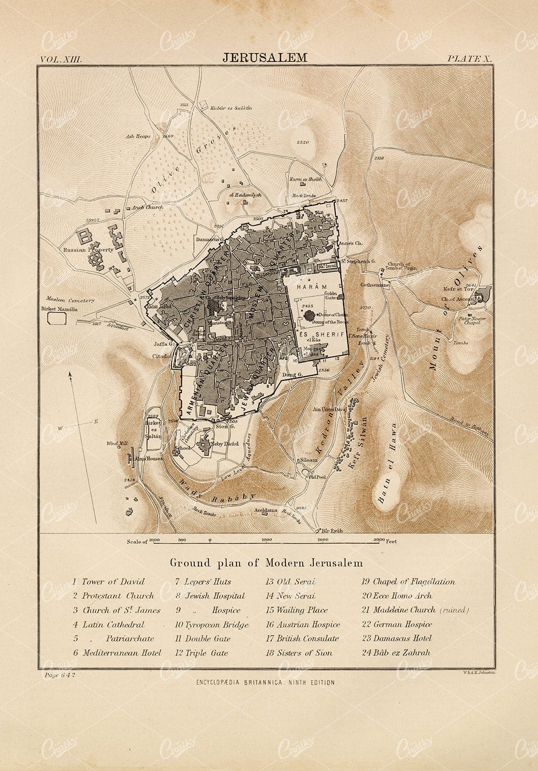 Ground Plan of Modern Jerusalem - 1880 Vintage Print