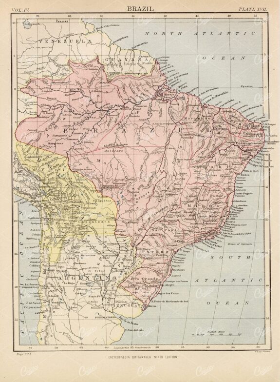 Antique Map of Brazil - 1880 Encyclopedia Britannica