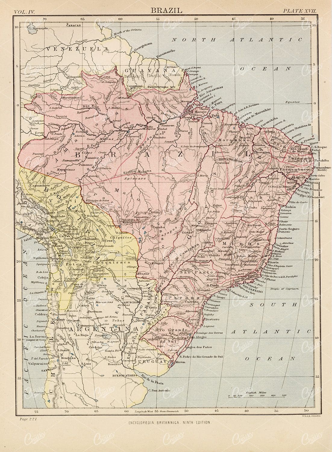 Antique Map of Brazil - 1880 Encyclopedia Britannica