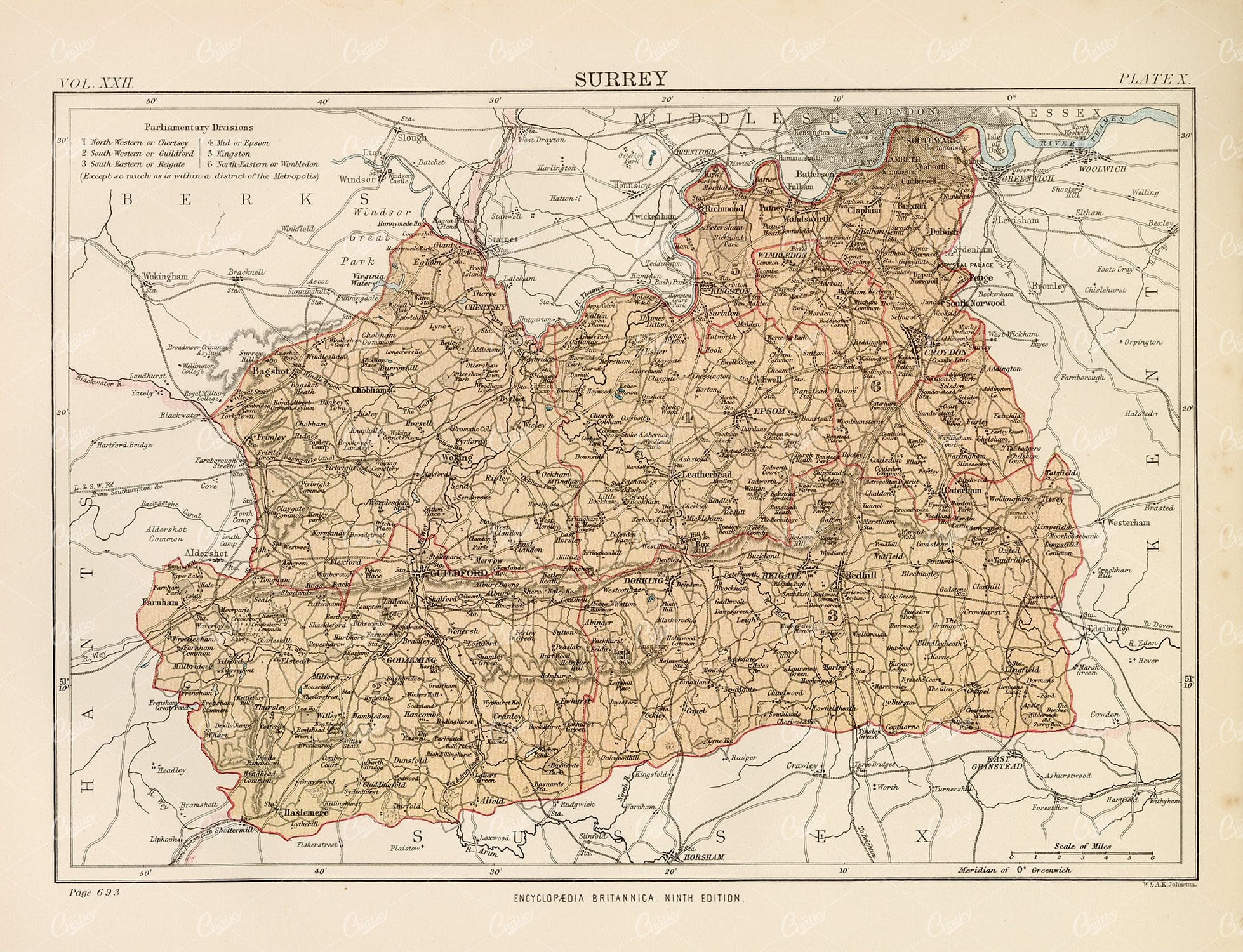Antique Map of Surrey - Encyclopedia Britannica 1880