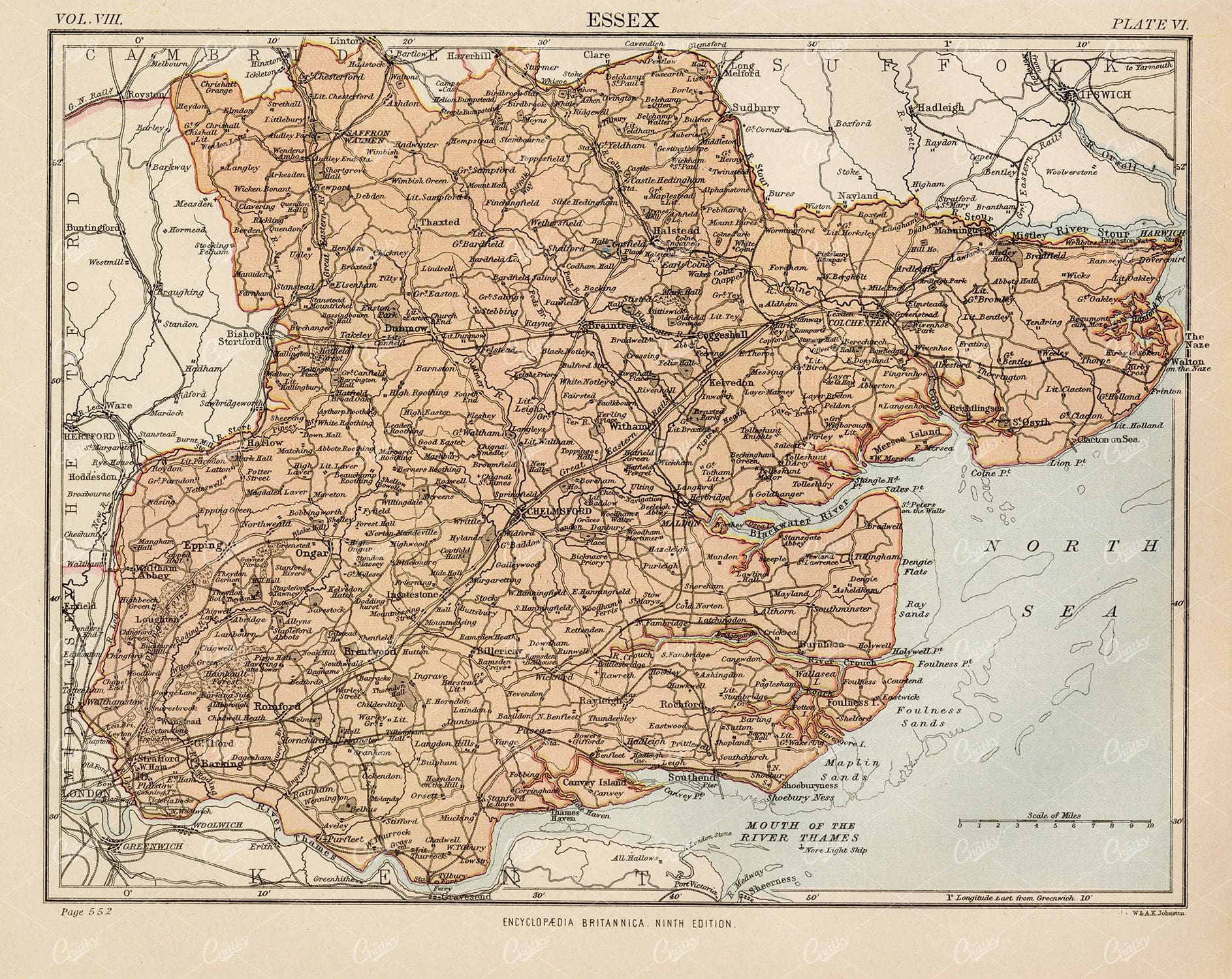 Antique Map of Essex - 1880 Encyclopedia Britannica