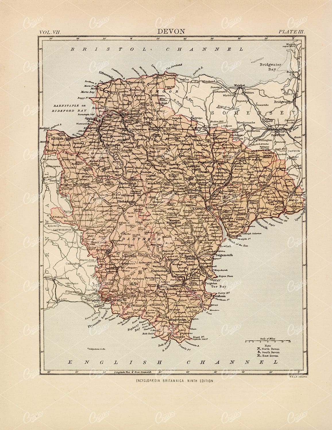 Antique Map of Devon - Encyclopedia Britannica 1880