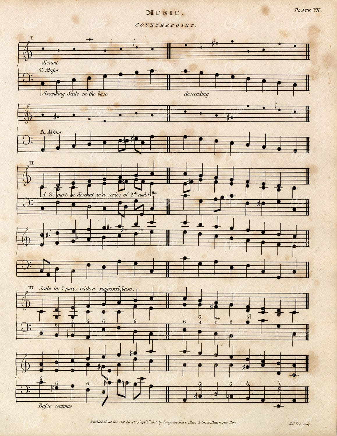 VINTAGE Counterpoint Sheet Music - Rees Encyclopedia 1800s