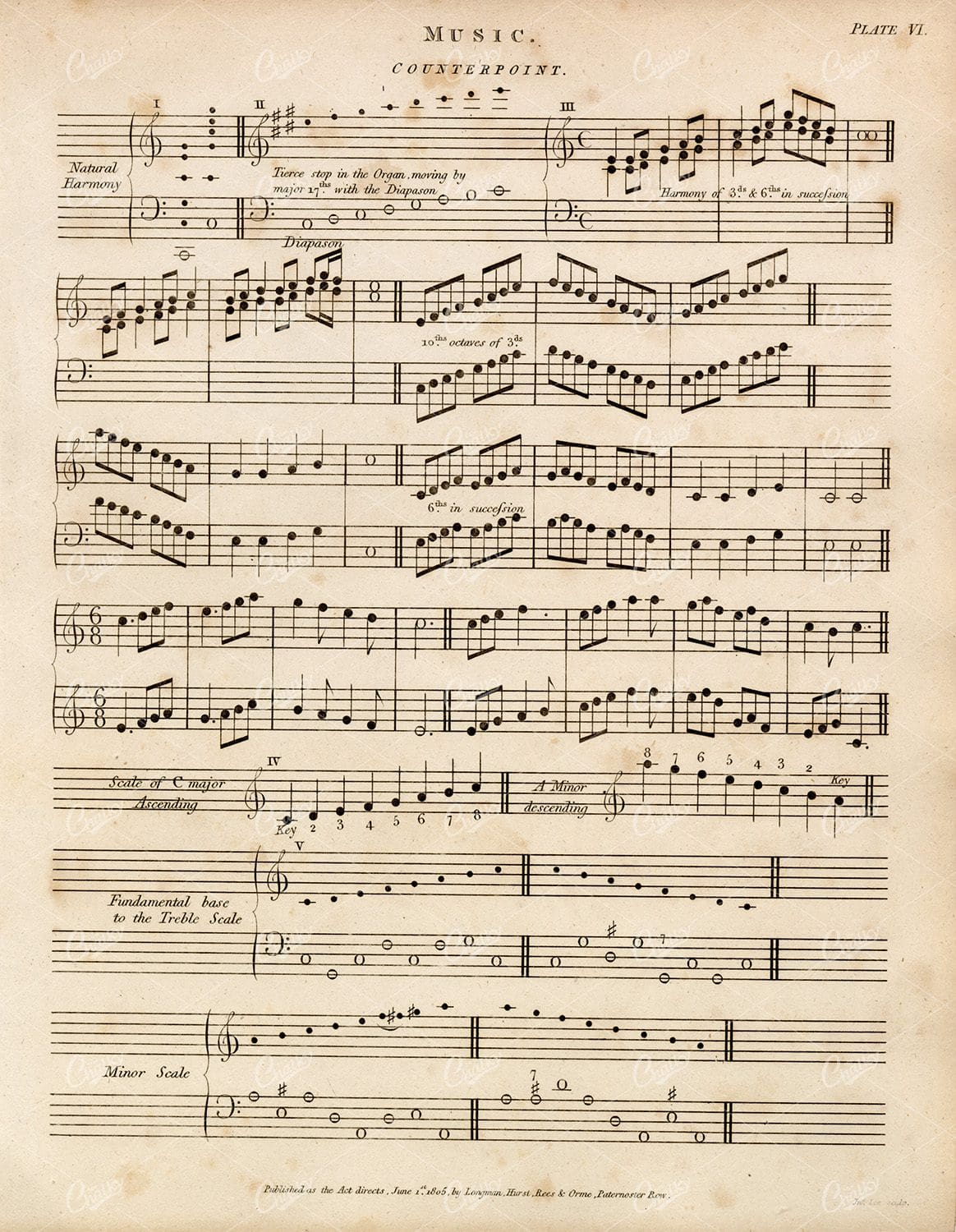 1800s Antique Music Print - Rees' Encyclopedia
