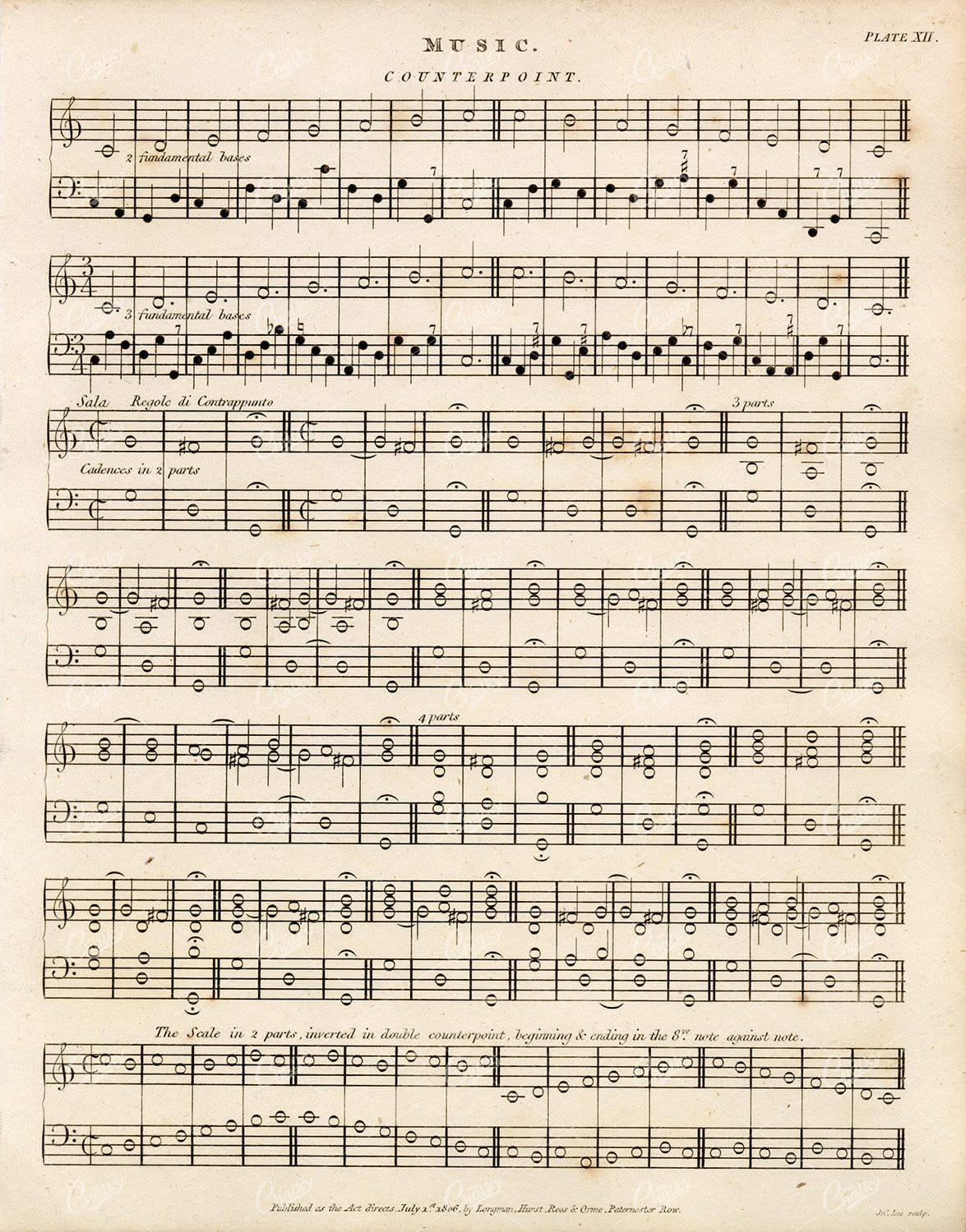 MUSIC - Vintage Rees' Encyclopedia Print - 1800s