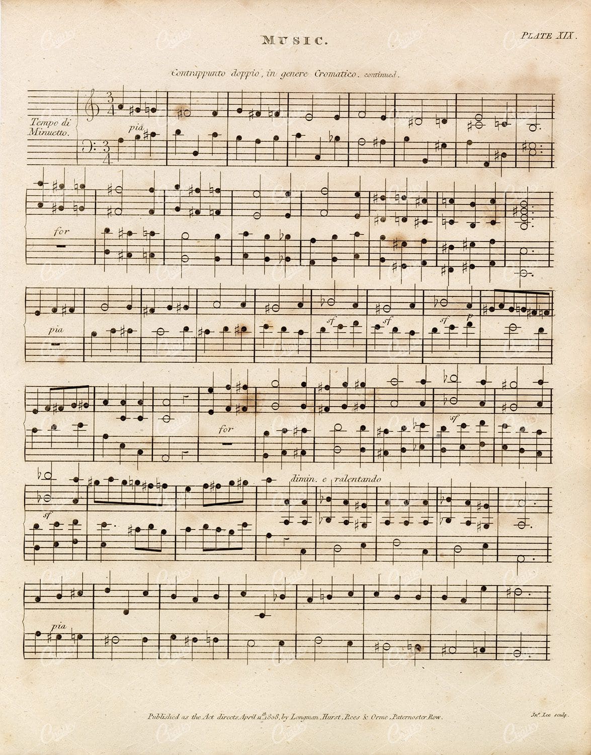 1800s Rees' Encyclopedia  - Vintage Sheet Music Print