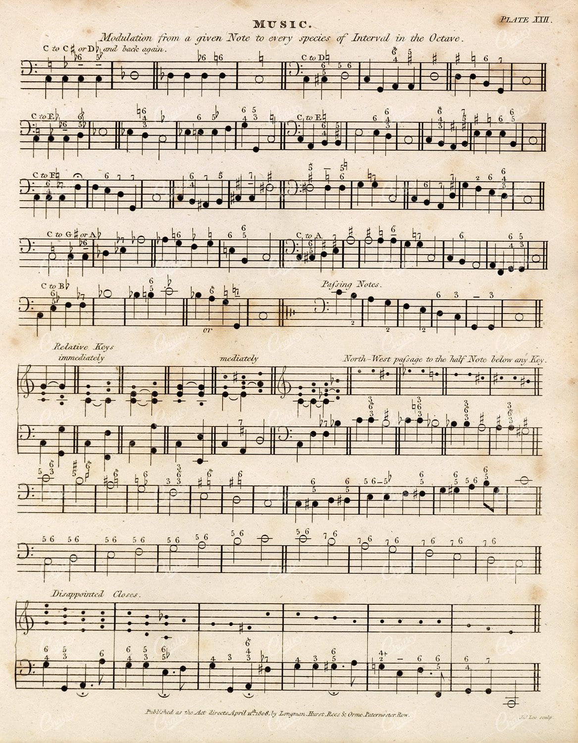 VINTAGE Sheet Music Print - Rees' Encyclopedia 1800s