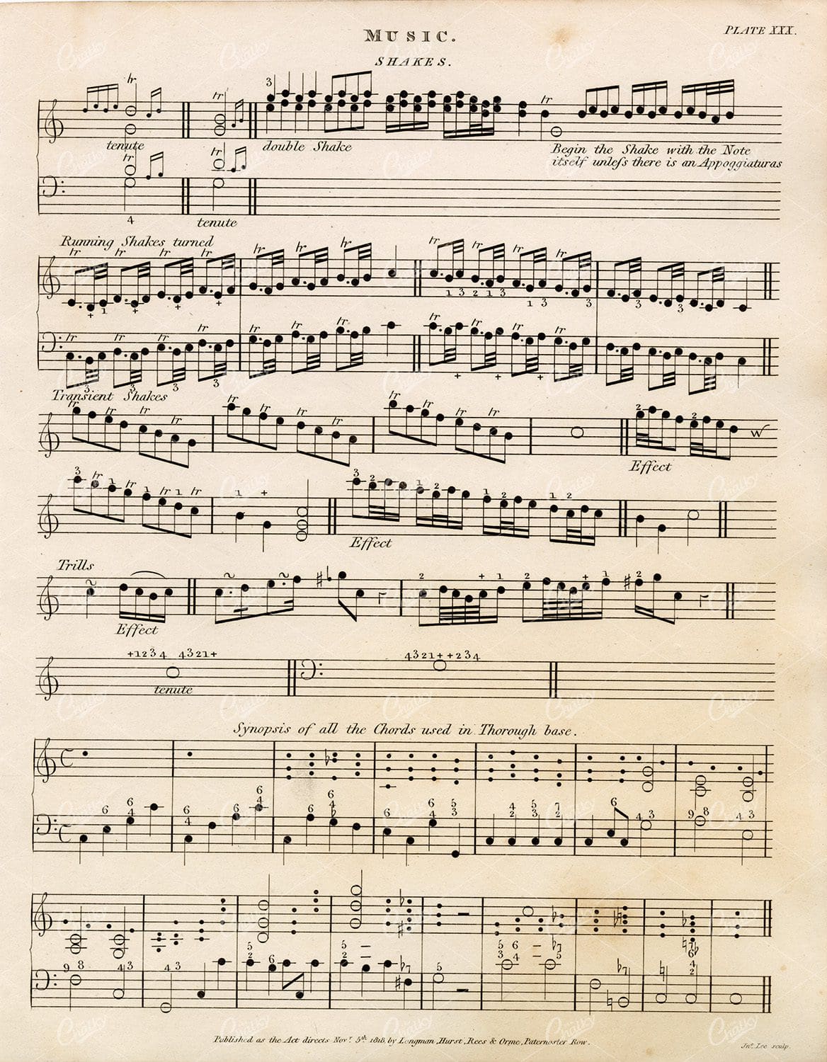 VINTAGE Music Print-Shakes - 1800s Rees' Encyclopedia