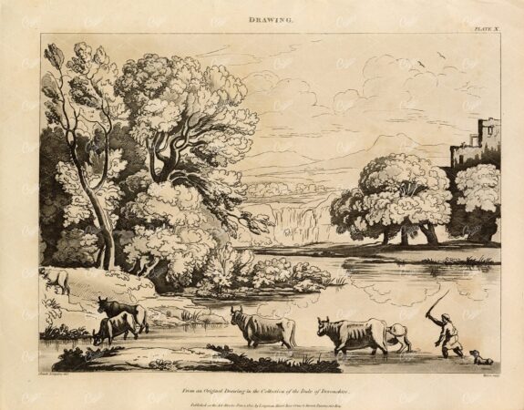 ANTIQUE Drawing Print  - Rees's Encyclopedia 1800s