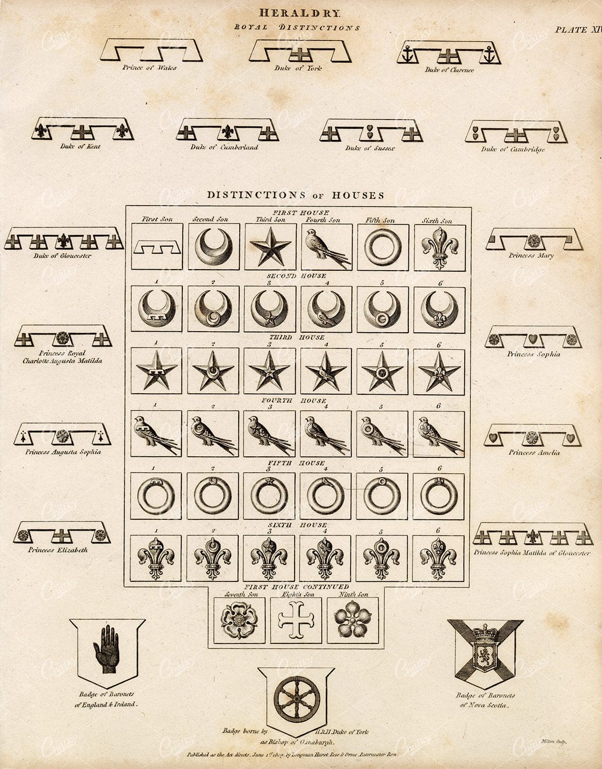 HERALDRY Royal Distinctions - 1800s Antique Print