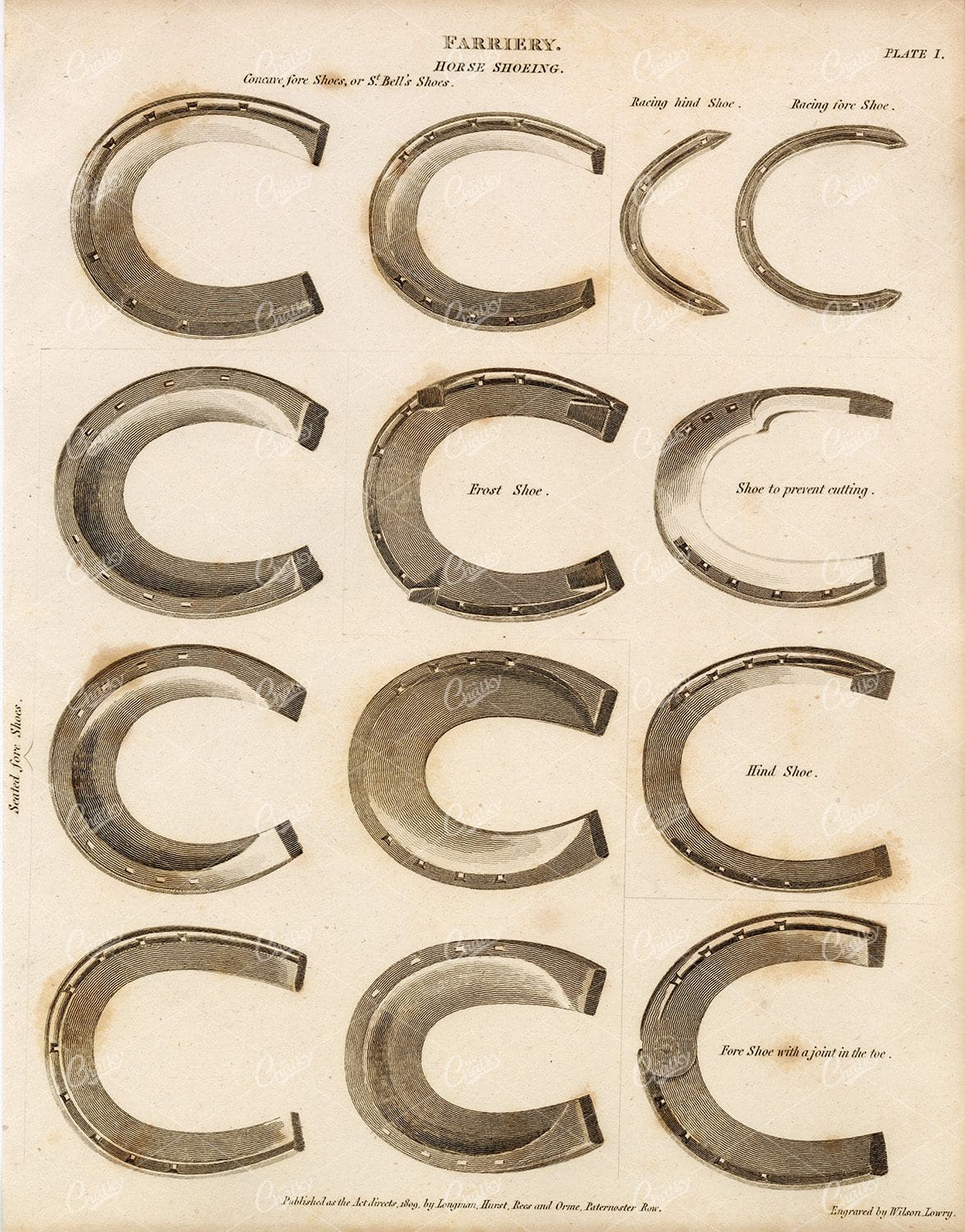 FARRIERY Horse Shoeing - Antique Print 1800s