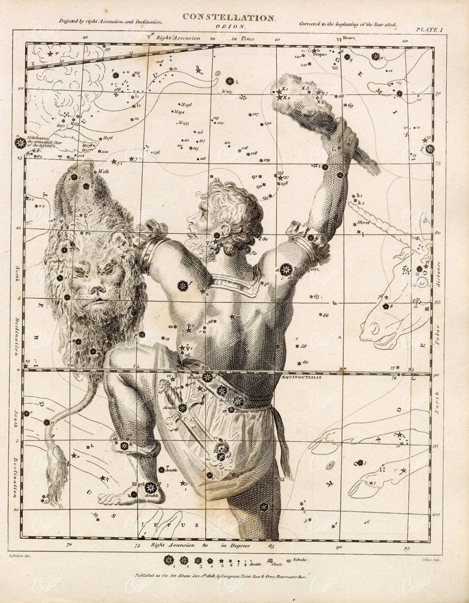 Constellation Orion - Antique Print - Rees' Encyclopedia