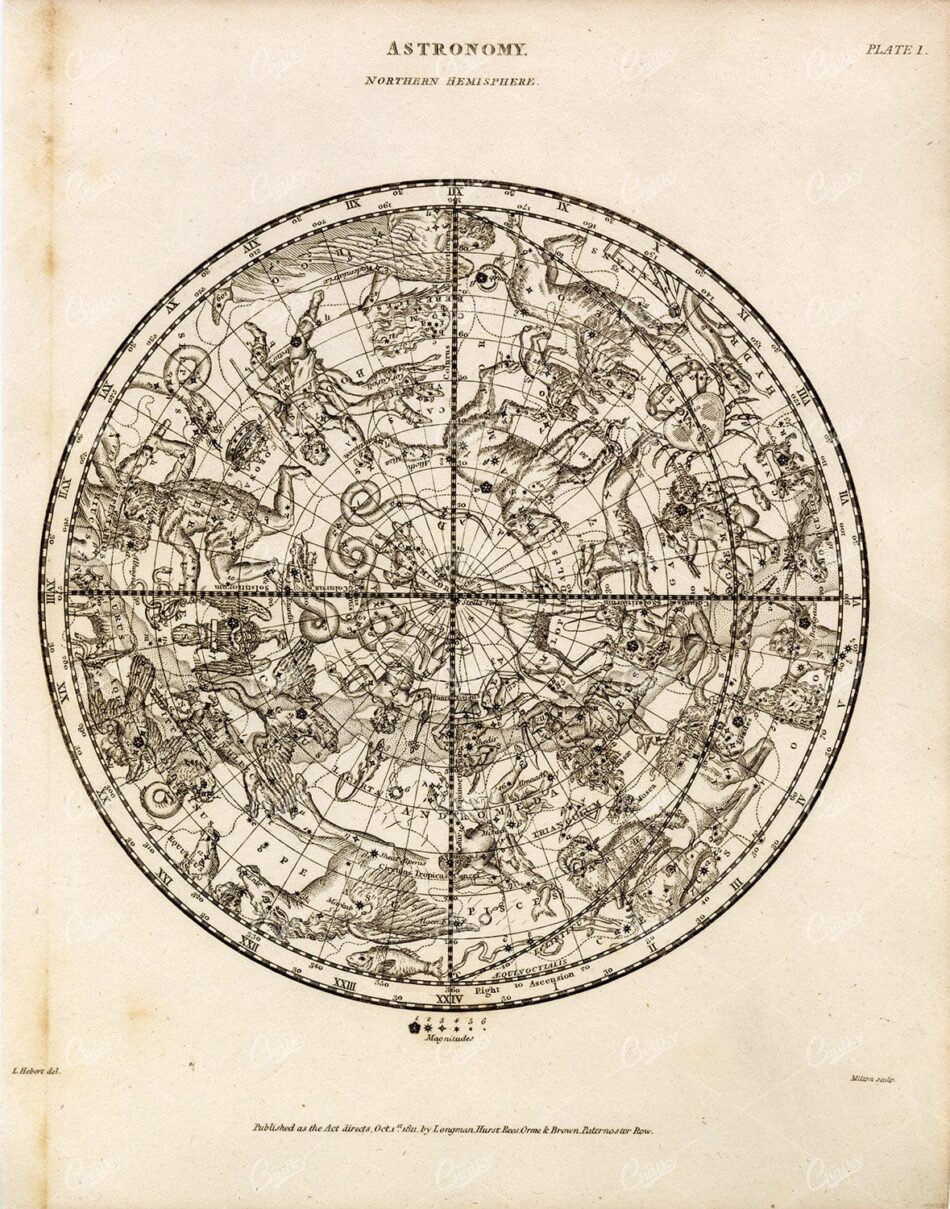Vintage Astronomy Print - 1800s Rees' Encyclopedia