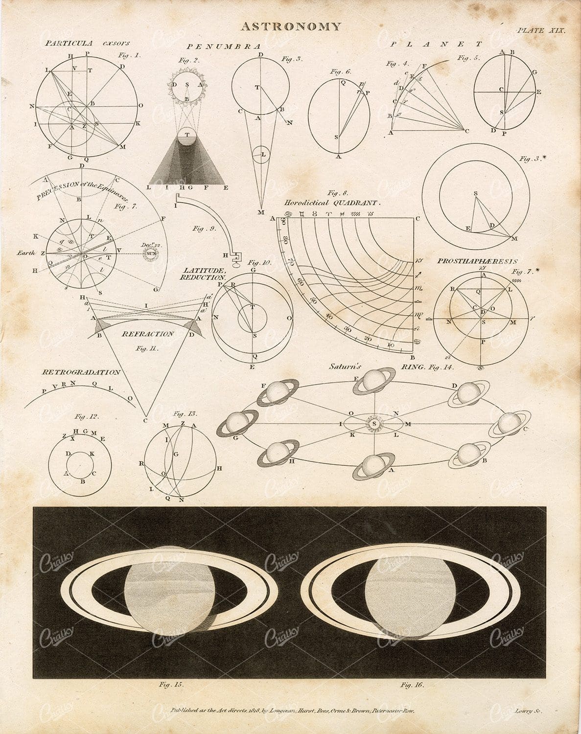 ANTIQUE Astronomy Print - Rees's Encyclopedia 1800s