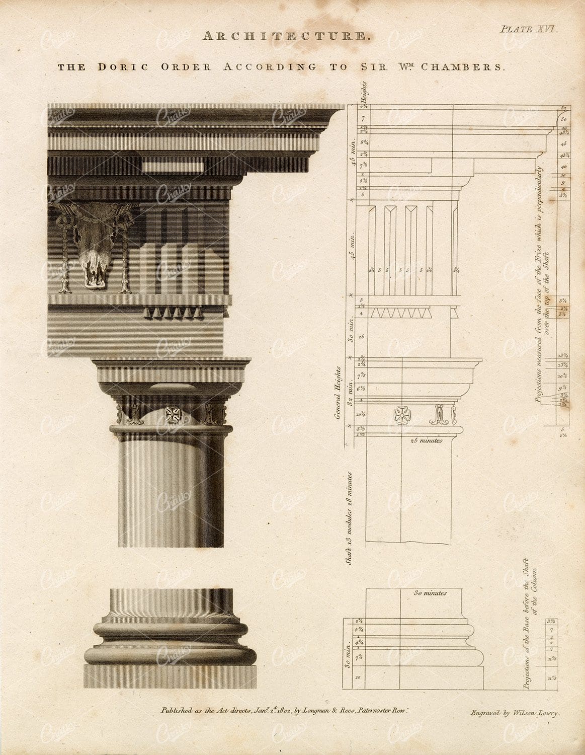 ANTIQUE Architecture Print - Rees' Encyclopedia 1800s