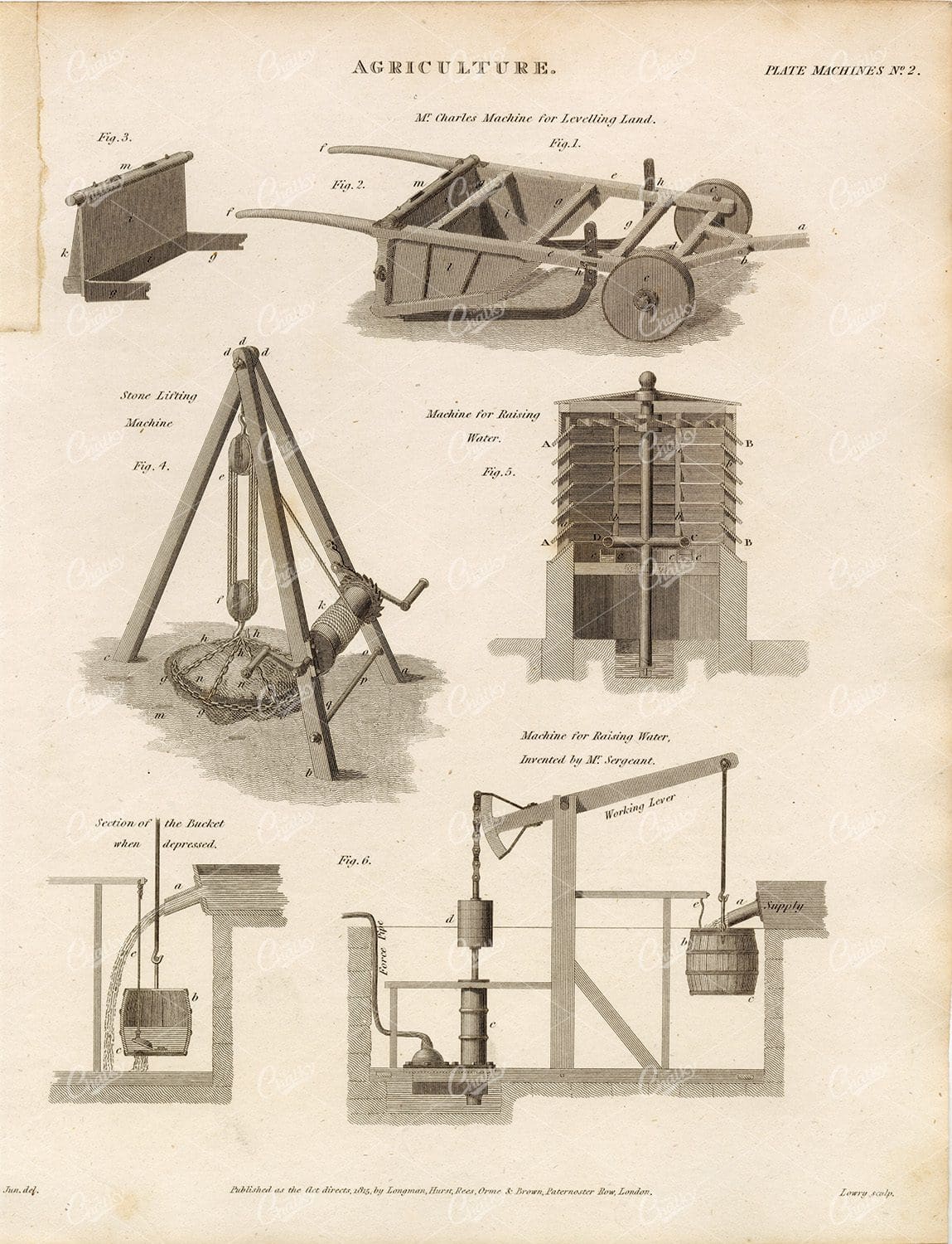 ANTIQUE Agriculture Print - Rees' Encyclopedia 1800s