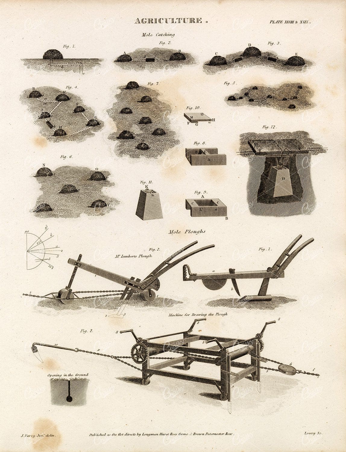 ANTIQUE Agriculture Print - Rees' Encyclopedia 1800s