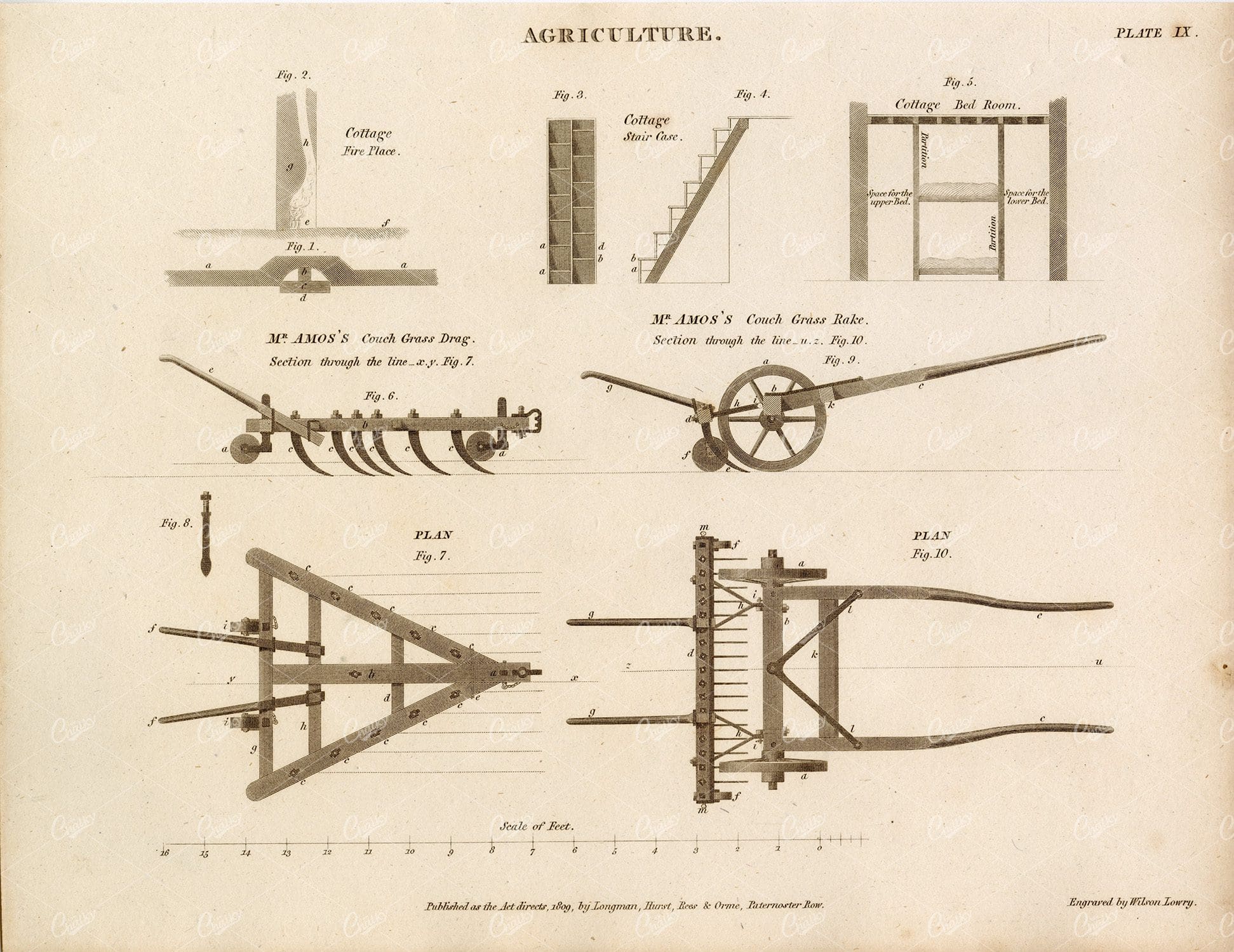 ANTIQUE Agriculture Print - Rees' Encyclopedia 1800s