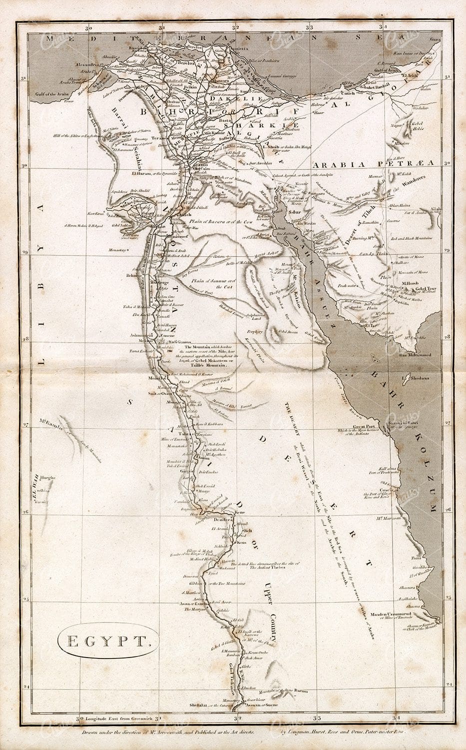 VINTAGE Map of Egypt - 1800s Rees' Encyclopedia