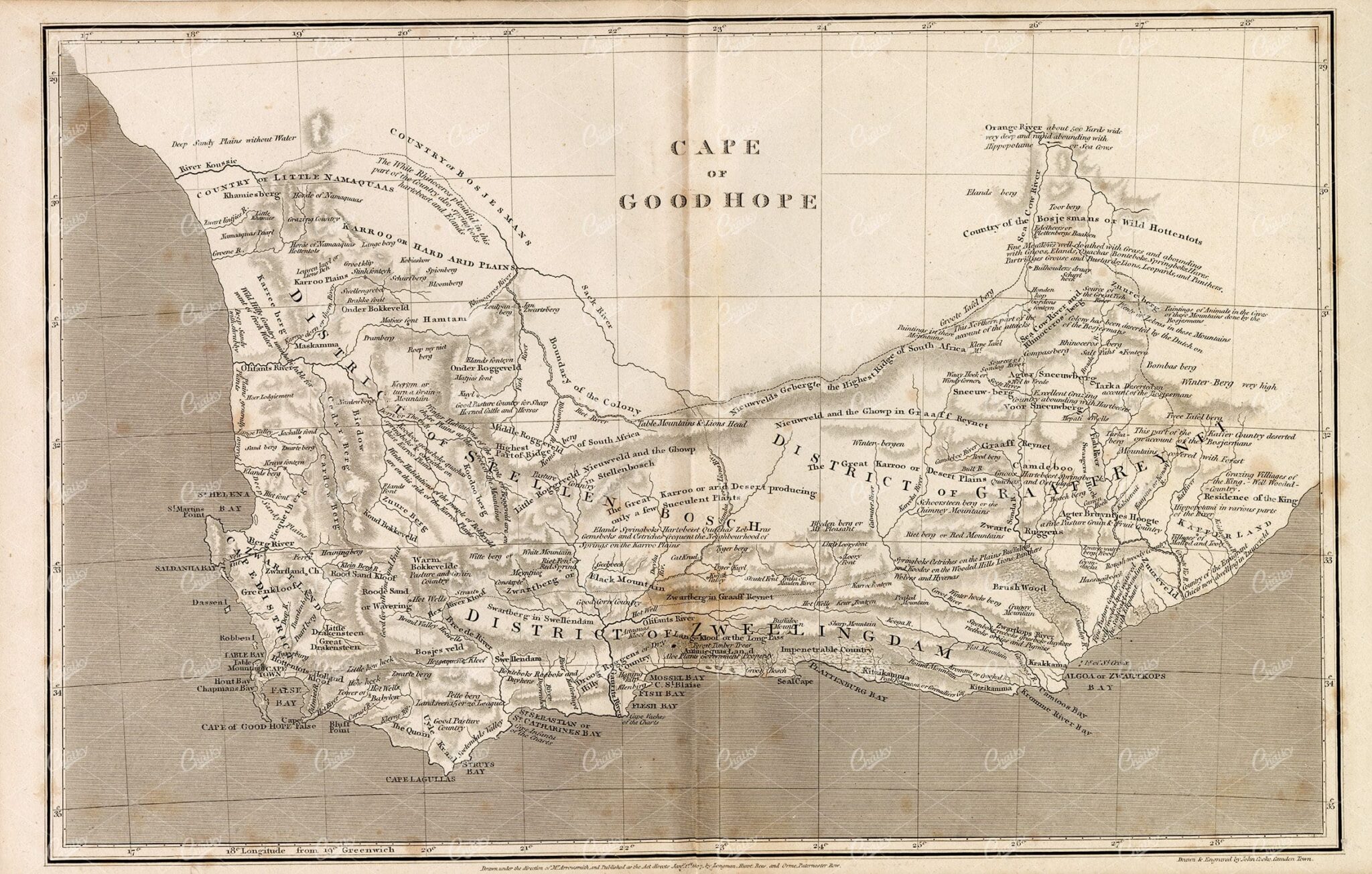 ANTIQUE Map of the Cape of Good Hope - Rees' Encyclopedia