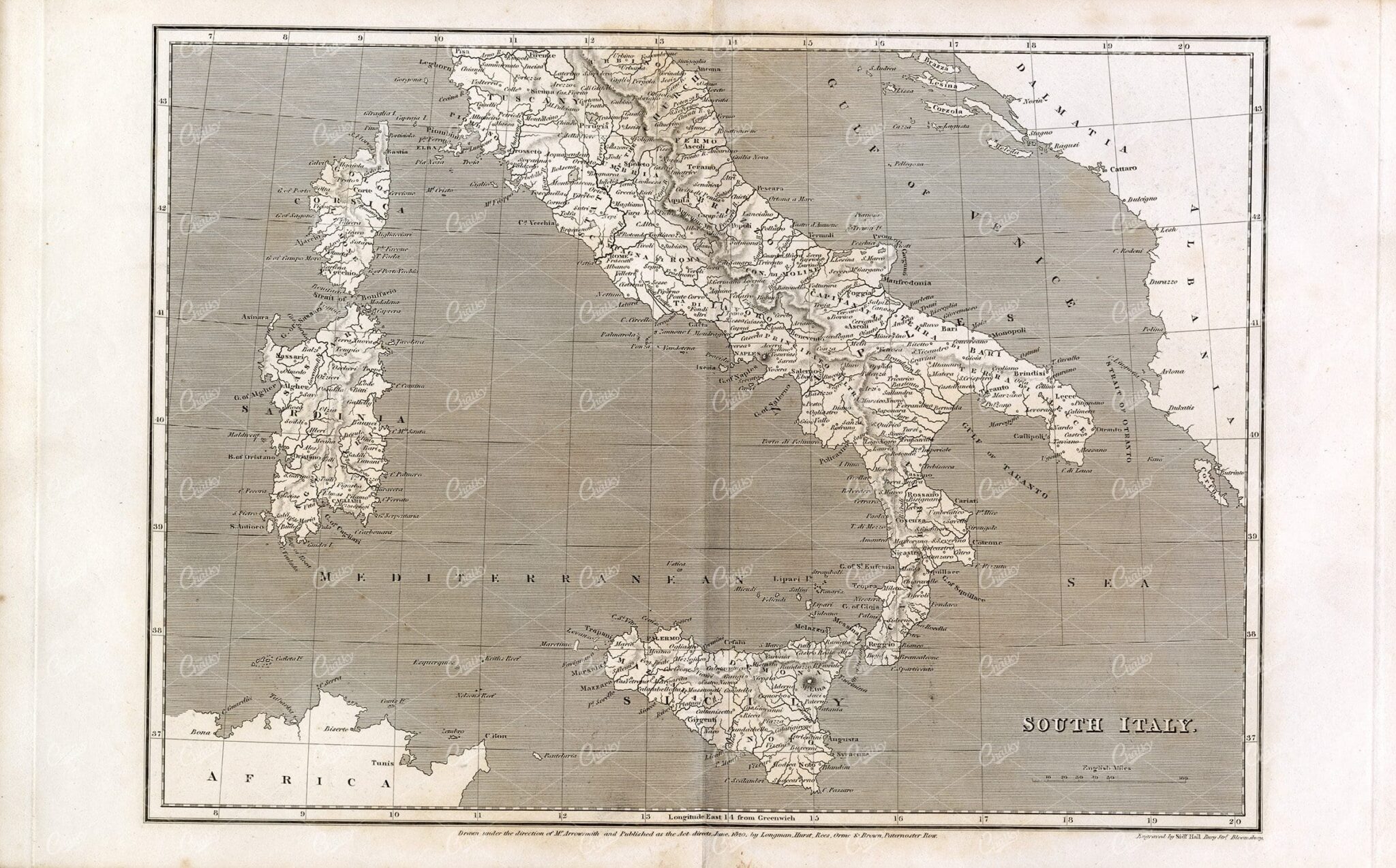 ANTIQUE Map of South Italy - 1800s Rees' Encyclopedia