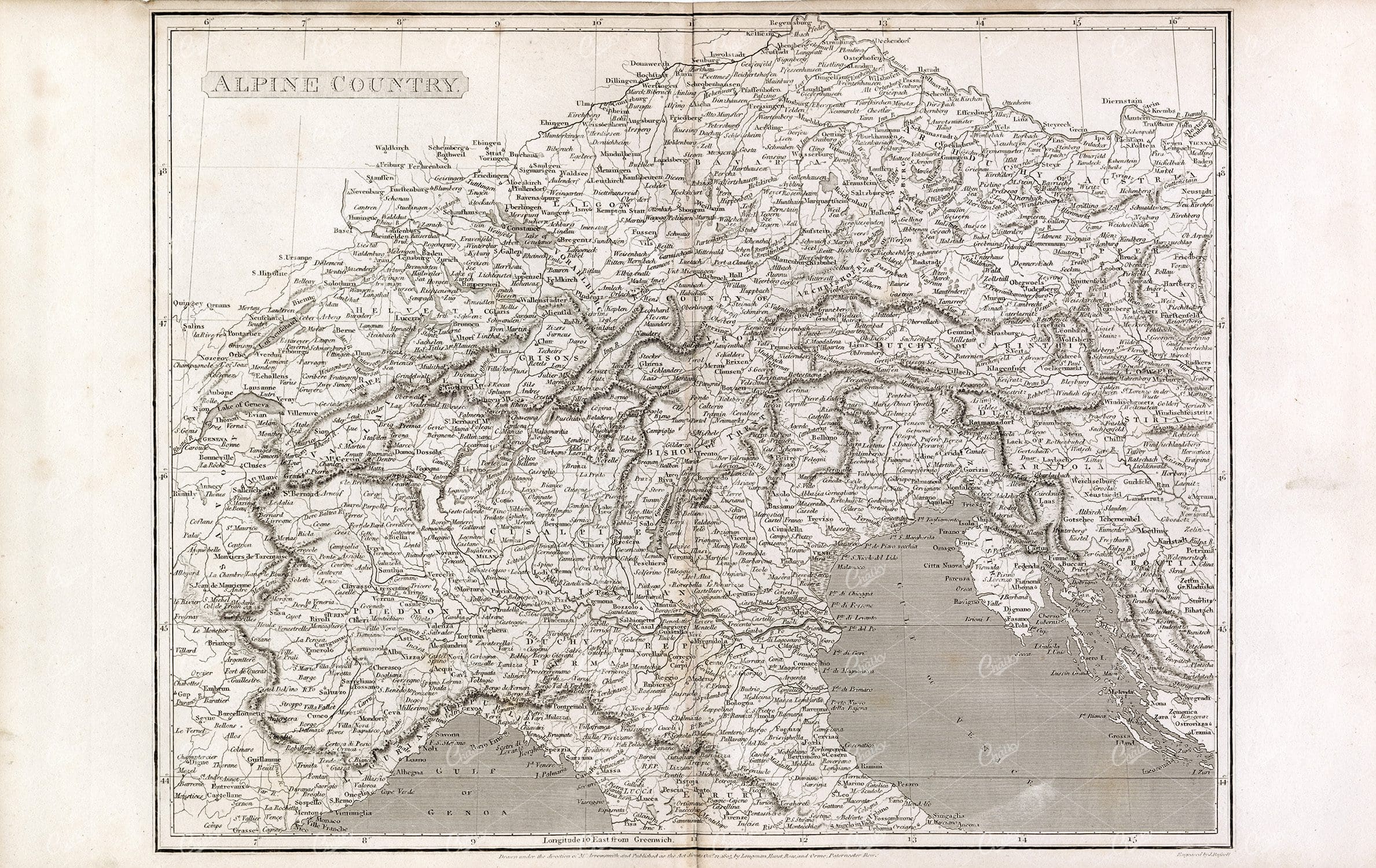 VINTAGE Map of Alpine Country - Rees' Encyclopedia 1800s