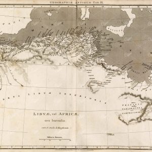 ANTIQUE Map of Africa - 1800s Rees' Encyclopedia