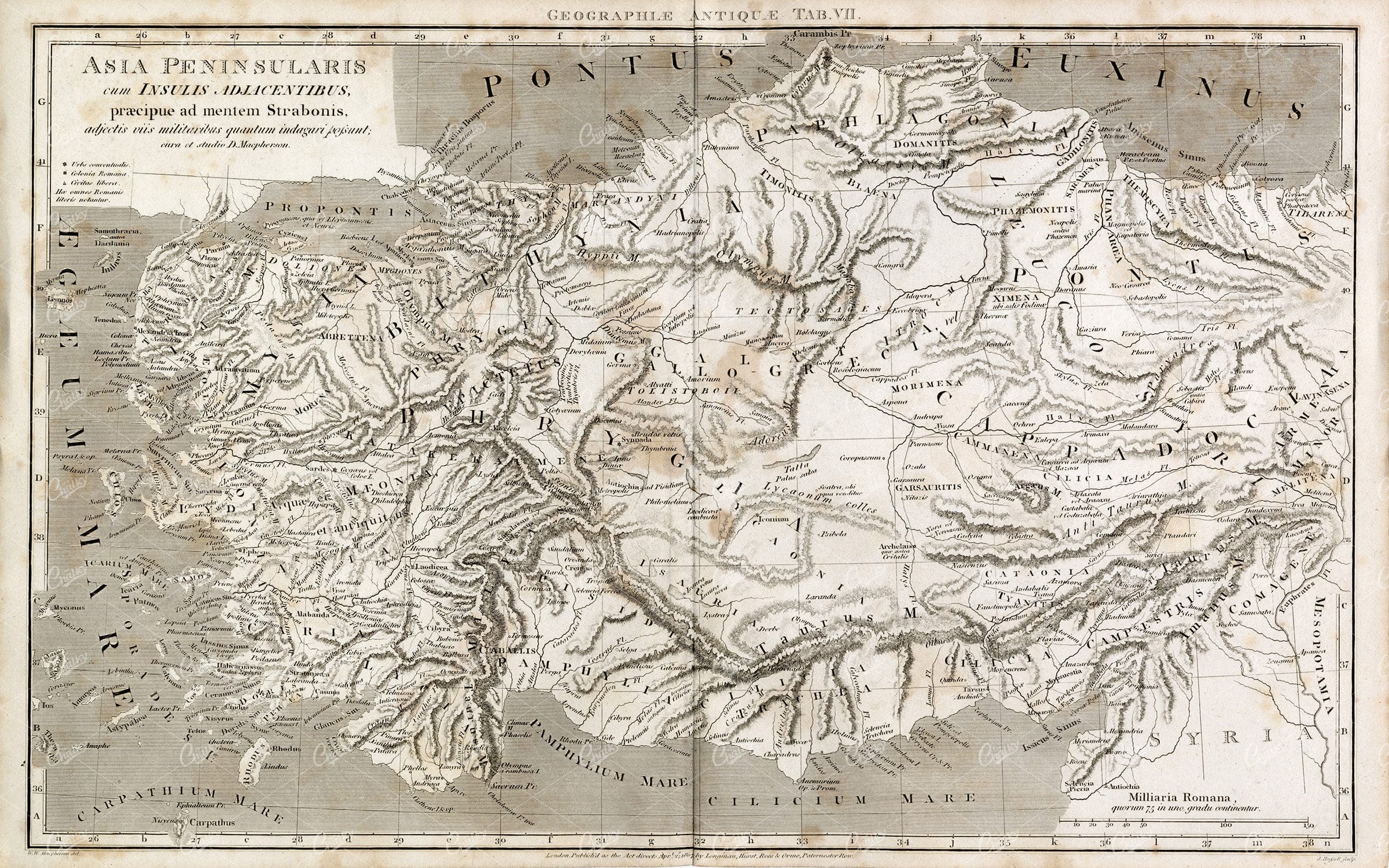 VINTAGE Map of Asia Peninsularis - Rees' Encyclopedia 1800s